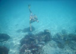Anna snorkelling in the Quirimbas Archipelago, Mozambique