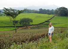 Anna at Satemwa Tea Estate, Malawi