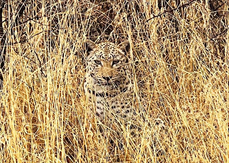 Megan C, Namibia Specialist | Audley Travel UK