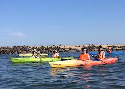 Philippa kayaking with seals in Walvis Bay, Namibia