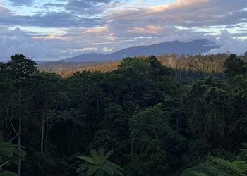 Atherton Tablelands at sunset