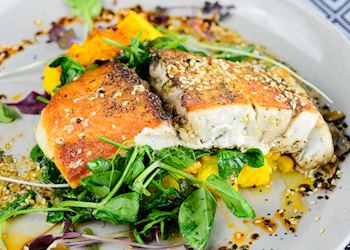 Barramundi