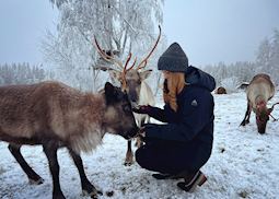 Aislyn visiting the Sami reindeer, Swedish Lapland