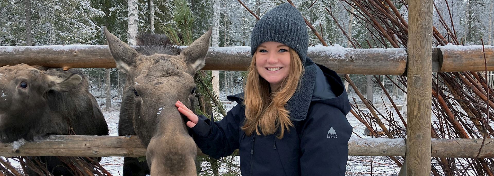 Aislyn feeding a moose in Sweden