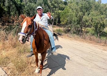Local shepard on horseback