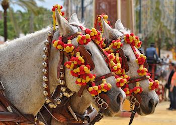 La Feria del Caballo in Jerez de la Frontera (Jerez Horse Fair), Spain