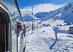 Cara on the Flåm Railway, Norway
