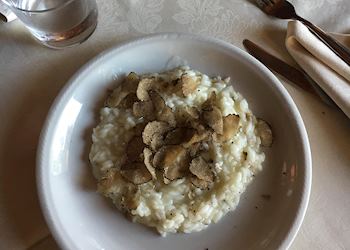 Truffle risotto