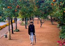 Samantha among orange trees in Cordoba, Spain
