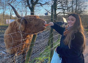 Audley specialist Snizhana feeding a Scottish Highland cattle