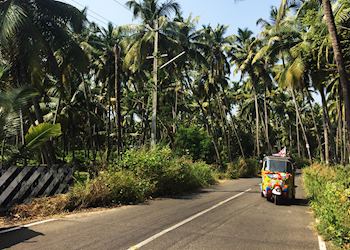 Mikala driving a tuk tuk in India
