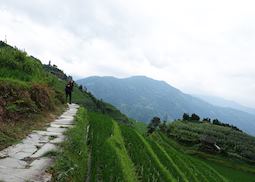 Sophie in Longji, China
