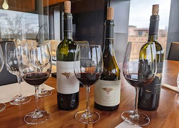 Argentinian wine