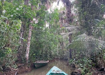 Amazon River