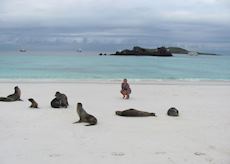 Holly with sea lions in the Galapagos