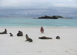 Holly with sea lions in the Galapagos