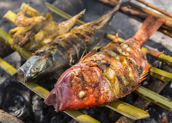 Grilled snapper