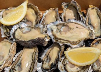 Bluff oysters