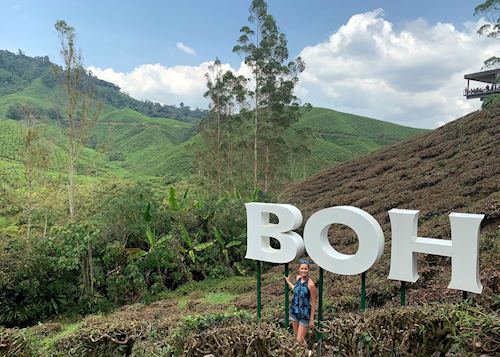 Charlotte visiting the BOH Tea Plantation in the Cameron Highlands, Malaysia