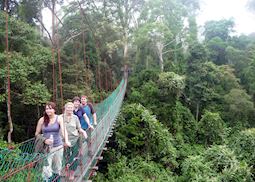 David with Audley colleagues in the Danum Valley, Borneo
