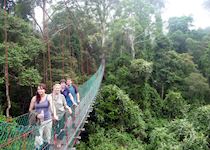 David with Audley colleagues in the Danum Valley, Borneo
