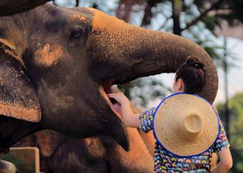 Julia at an elephant sanctuary in Thailand 