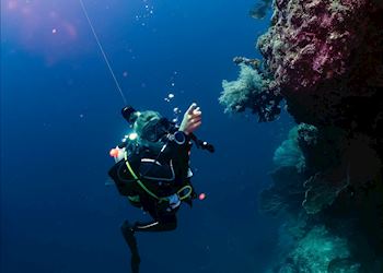 Scuba diving around Yonaguni