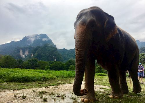 Elephant Hills in Khao Lak, Thailand