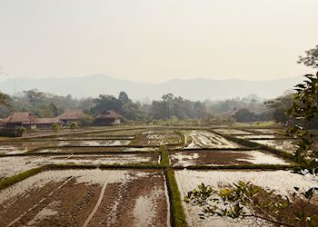 Chiang Mai, Thailand