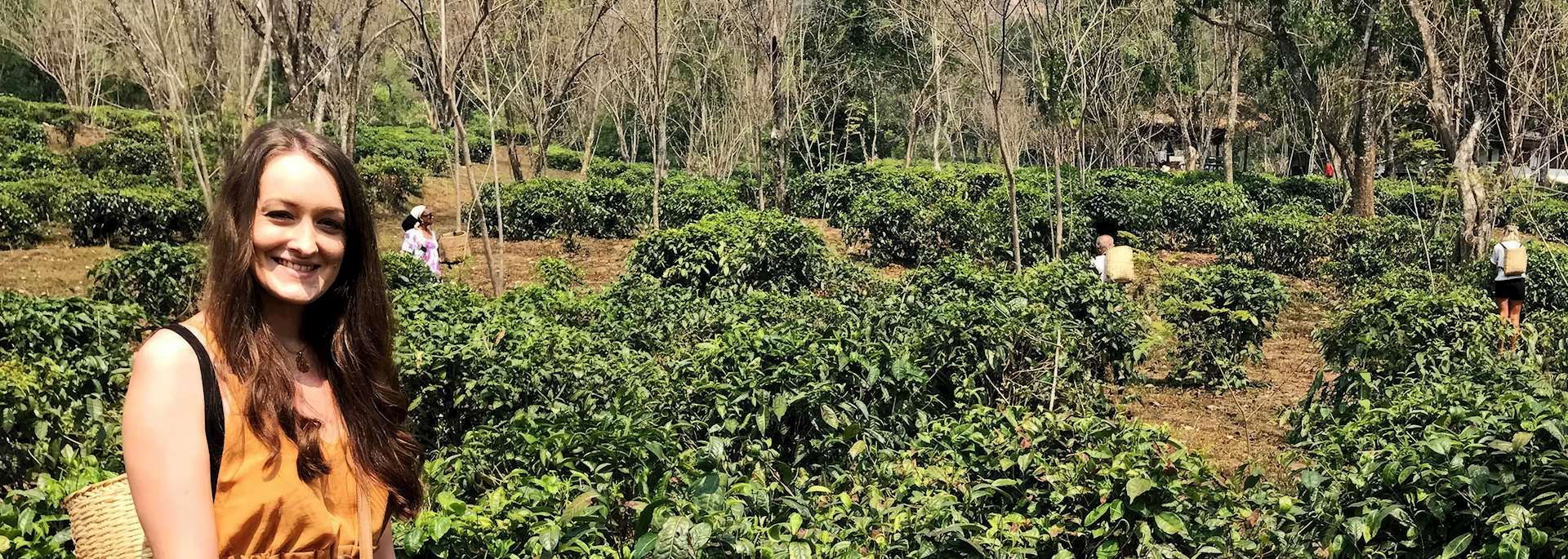 Sophie at Araksa Tea Plantation, Thailand