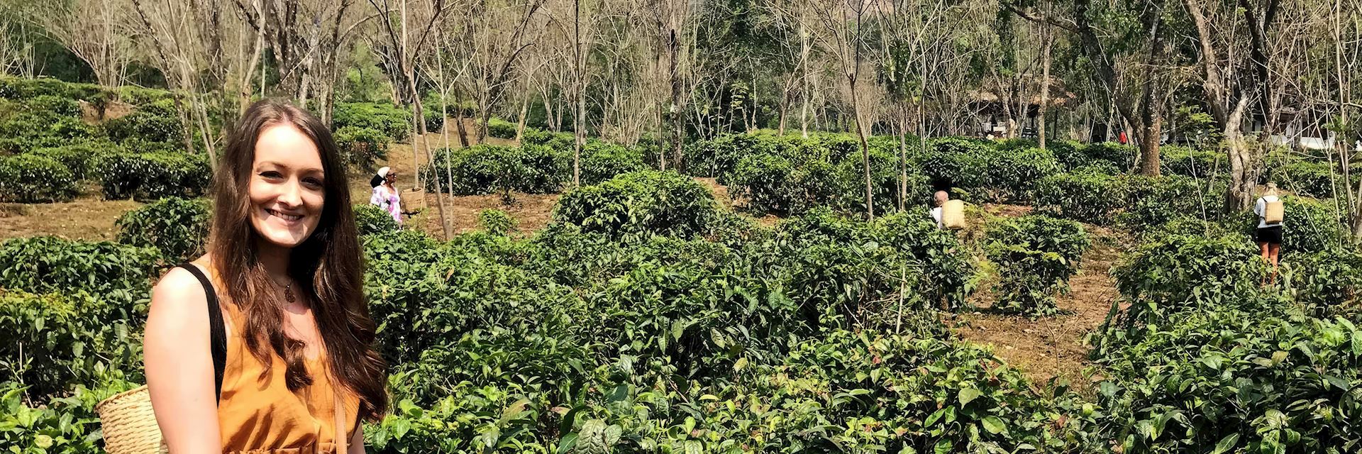 Sophie at Araksa Tea Plantation, Thailand