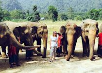 Sophie at the elephant conservation project at Elephant Hills, Thailand