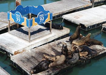 Pier 39, San Francisco