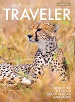 Winter Traveler 2020 Cover