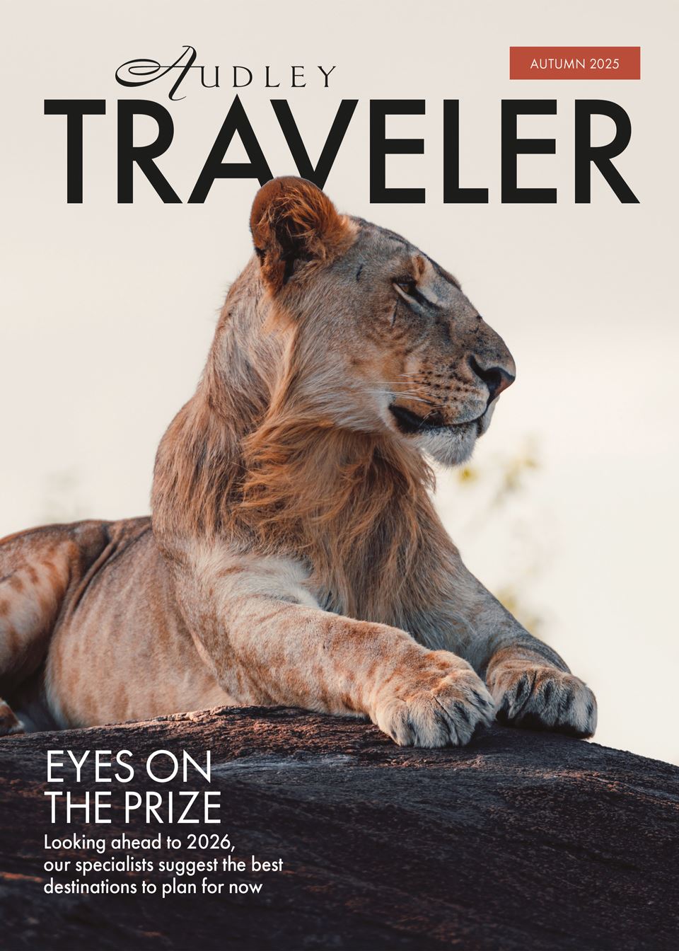 Best Magazine for Travel: Top Picks to Inspire Your Adventures