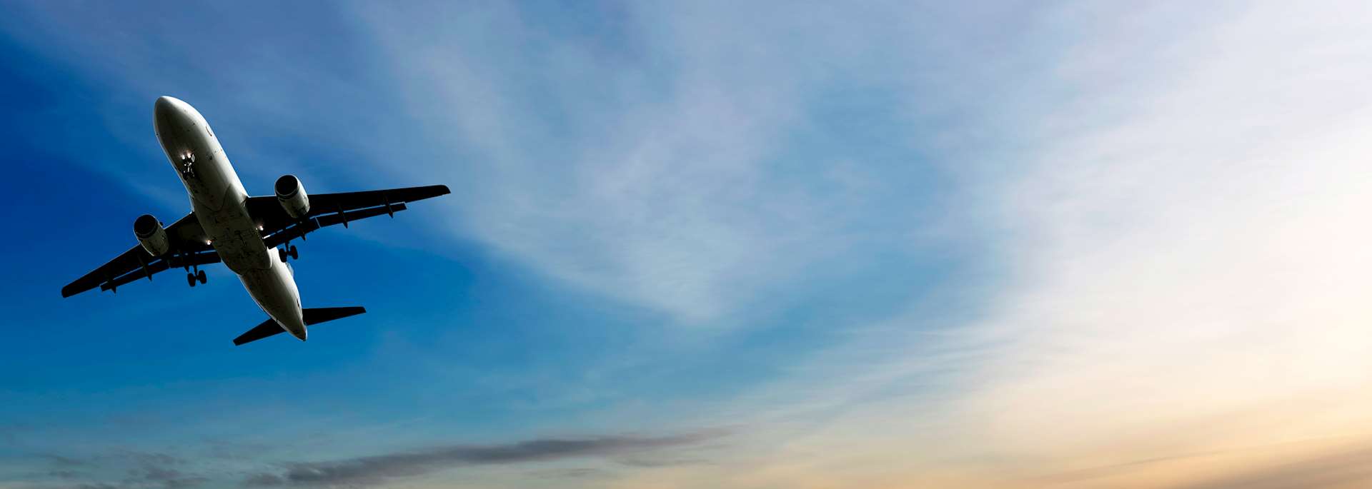 Passenger Airliner
