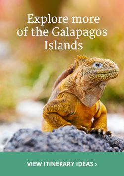 View itinerary ideas