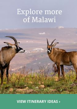 View itinerary ideas