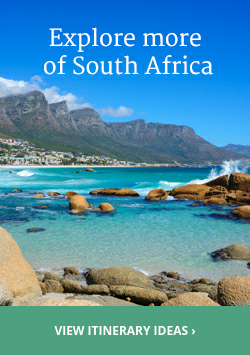 South Africa in February: Travel Tips, Weather & More