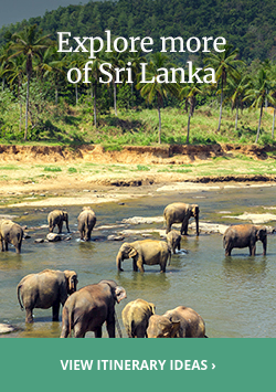 good time to travel to sri lanka View itinerary ideas