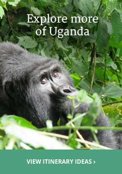 Best Time to Visit Uganda | Climate Guide | Audley Travel