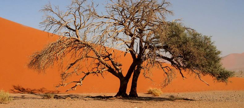 Sand dunes, Sossusvlei