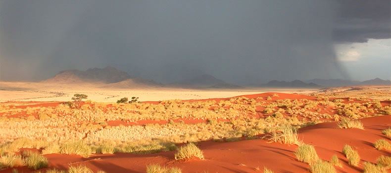 The NamibRand Nature Reserve is a place of sublime contrasts
