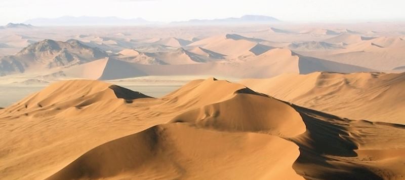 The Skeleton Coast is largely devoid of life