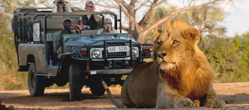 Game drive, Lower Zambezi National Park