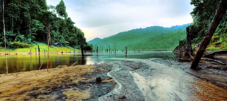 Belum Rainforest, Malaysia