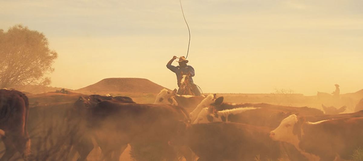 Cattle drover.