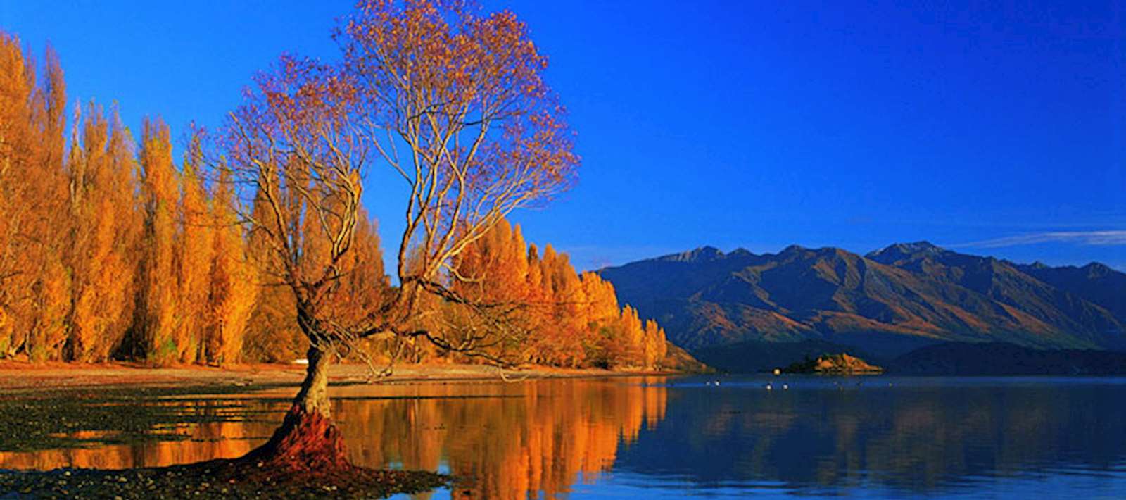 Autumn in New Zealand Audley Travel UK