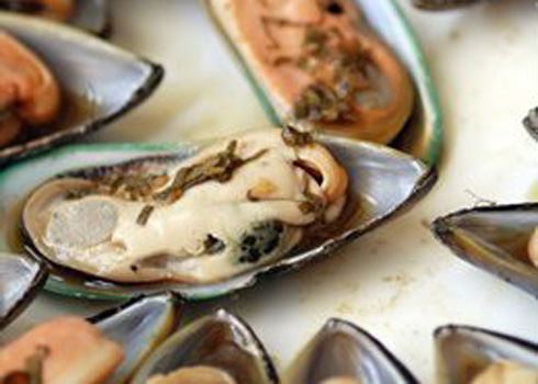 Oyster Bay Bluff Oyster & Southland Seafood Festival
