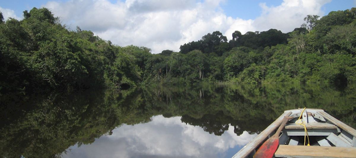 Exploring the rainforst, Iwokrama